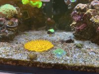 IMG_1353.jpg