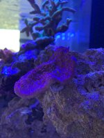 WhatsApp Image 2023-01-15 at 11.43.36 (1).jpeg