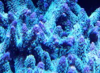 20230117_125050~2.JPG