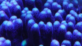 20230117_125038.JPG