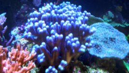 20230117_125016~2.JPG