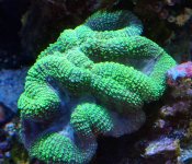 20230117_124850~2.JPG