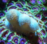 20230117_125238~2.JPG