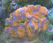 20230117_125330~2.JPG