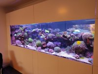 IMG_20230118_143016.jpg