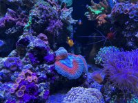 IMG_1443.jpg IMG_1443.jpg