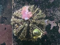2FA25344-8844-4607-B8D2-1E2EDCC11F6A.jpeg