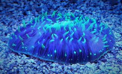 20230202_094412~2.JPG