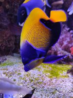 IMG_20230211_170056.jpg