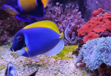 IMG_20230211_170059.jpg