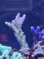 IMG_20220114_100417.jpg