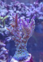IMG_20220114_100508.jpg