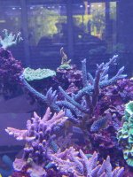IMG_20220624_123929.jpg