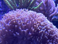 1906D773-B4DA-4EF3-A5CC-3E446E3222CD.jpeg