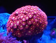 20230221_212827~2.JPG