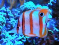 20230221_215858~3.JPG