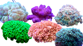 BackgroundEraser_20230223_231116736.png