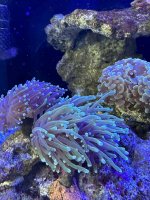 IMG_2721.jpg