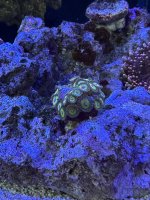 IMG_2724.JPG