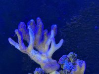 CBD5B243-3707-4909-B16C-AABE002E7811.jpeg