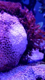 20230305_142728.jpg