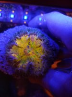 20230315_175533.jpg