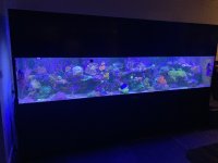 0812369A-C0A5-45BA-8F68-0AC0627A37D2.jpeg