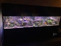 6172E1CA-17C6-4116-B451-3C3B73DE9171.jpeg