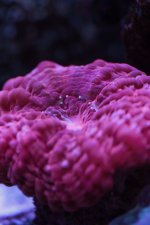 891BA961-A65A-4B29-879F-0849EBB23532.jpeg