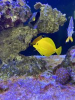 IMG_2850.JPG