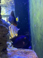 IMG_2856.JPG