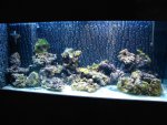 DSC00277.JPG