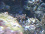 DSC00273.JPG