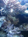 DSCF1103.JPG