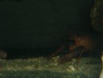 DSCF1112.JPG