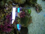 DSCN9636.jpg