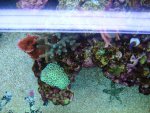 DSCN9626.jpg