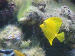 DSC00289.JPG