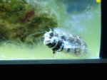 DSC00293.JPG