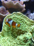 zeeaquarium 030.jpg