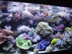 zeeaquarium 007.jpg