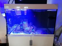 IMG_20230412_161446.jpg