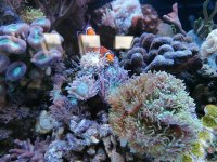 IMG_20230420_160956.jpg