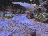 1322A7B8-89A8-4202-B495-6E80659EE41A.jpeg