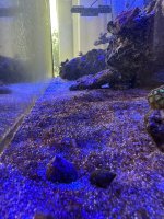 IMG_3387.jpeg