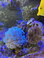 IMG_3436.jpeg IMG_3436.jpeg