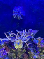 IMG_3434.jpeg IMG_3434.jpeg