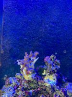 IMG_3435.jpeg IMG_3435.jpeg
