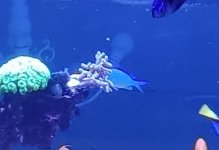 IMG_20220718_190702.jpg