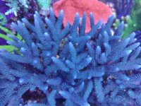 IMG_20230514_094928.jpg